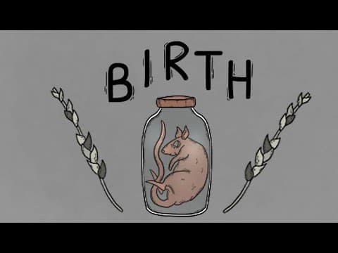 Trailer 2